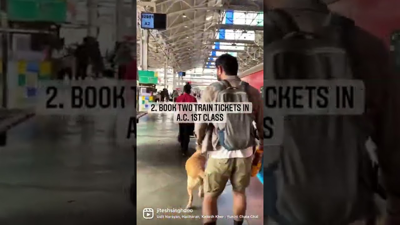 How to travel with your pet in train.