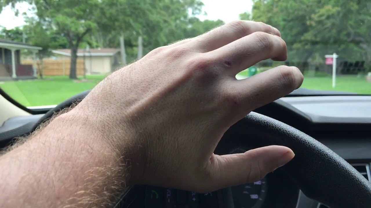 2015 Hyundai Sonata SE Test Drive