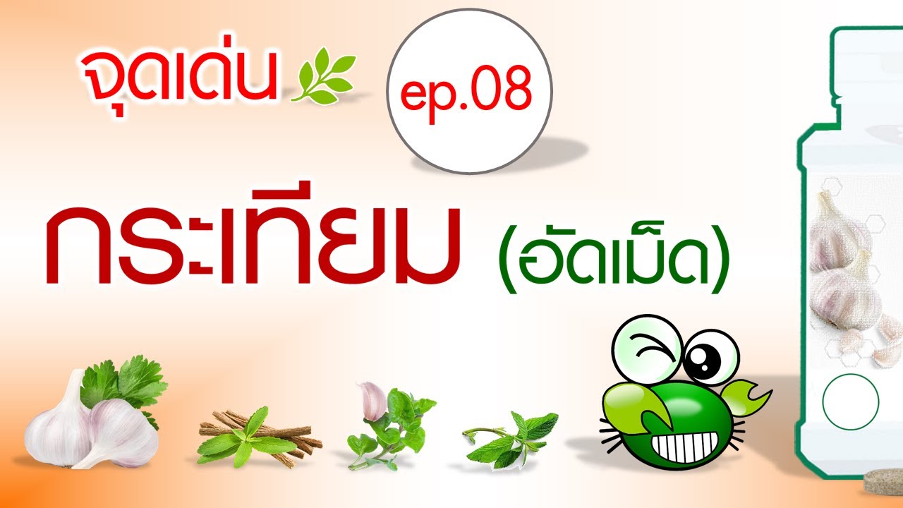 จุดเด่น ep 08 :  กระเทียม