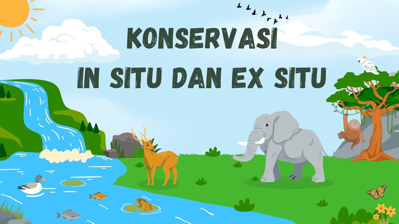 PELESTARIAN atau KONSERVASI EX SITU DAN IN SITU