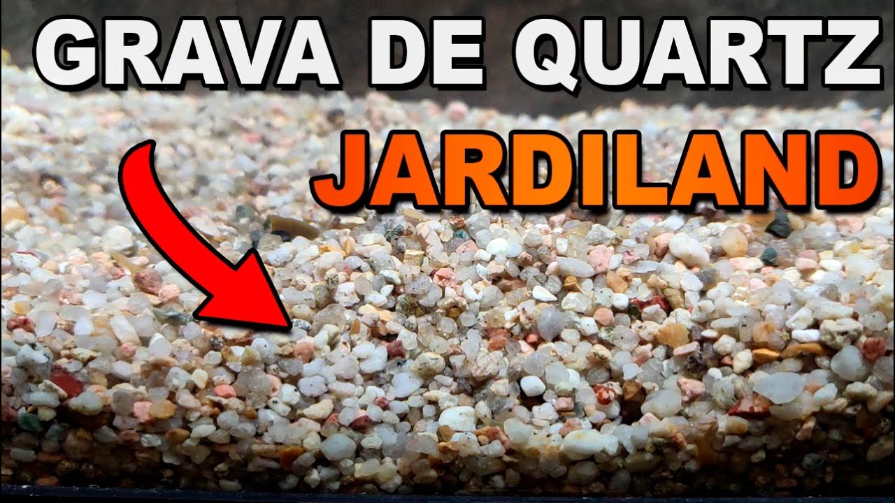 GRAVA DE CUARZO para acuarios Jardiland |TODO lo que debes saber🌿🌱
