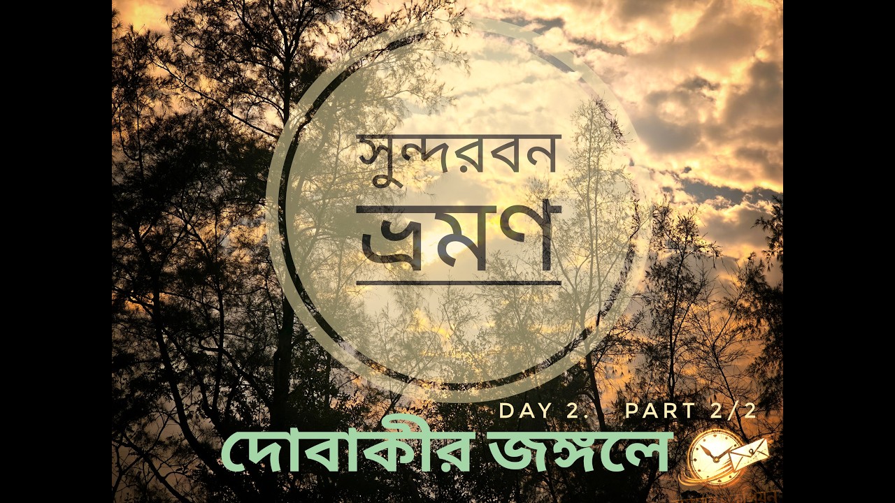 দোবাকীর জঙ্গলে কী লুকিয়ে?? সুন্দরবন ভ্রমণ।Sundarban Tour