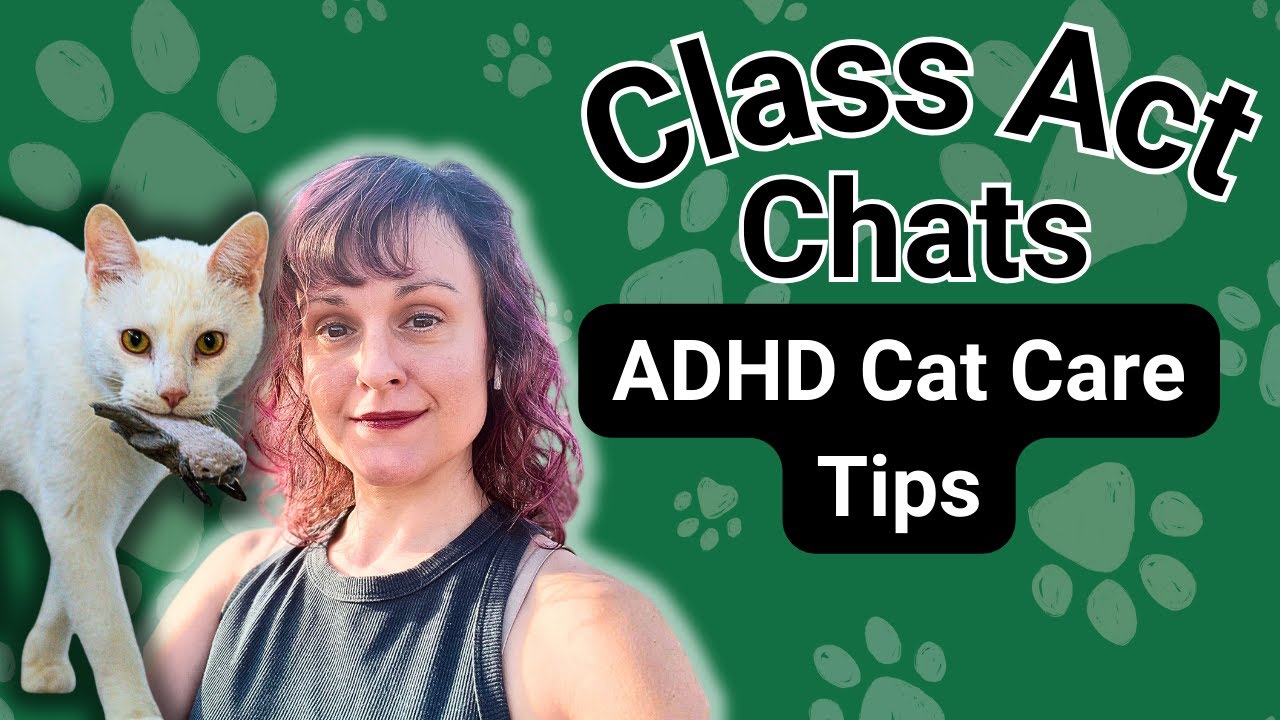 Cats & ADHD: Cat Care Tips For Your ADHD Brain