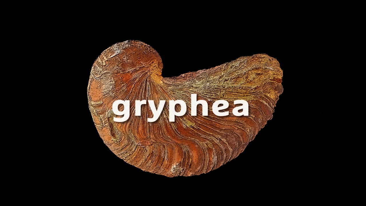 GRYPHEA, c'est quoi ?