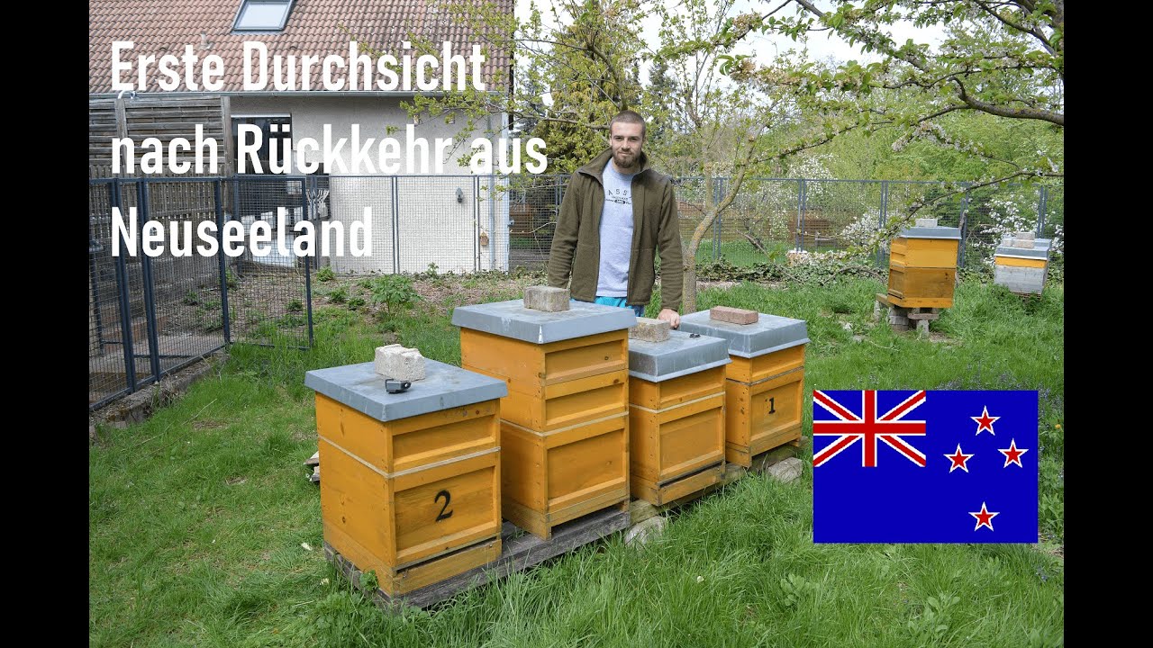 Erste verspätete Durchsicht