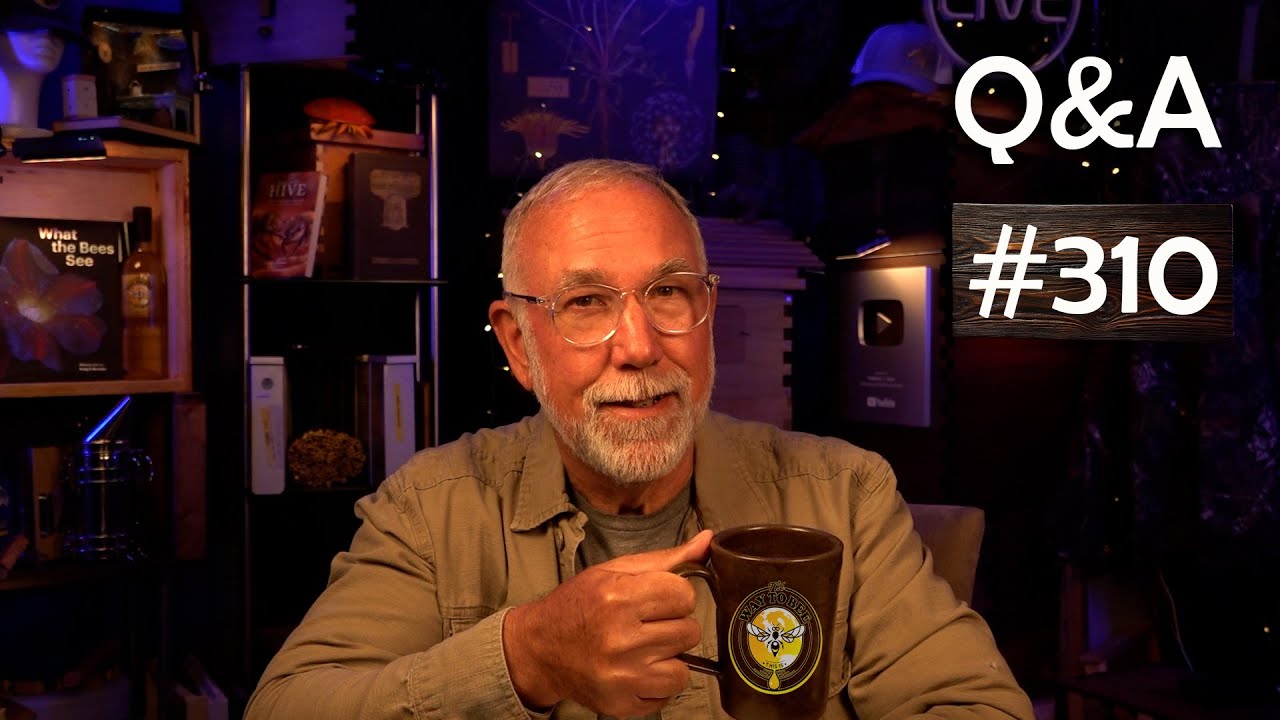 Backyard Beekeeping Q&A 310 can queen excluders be used to stop laying workers? And much more...