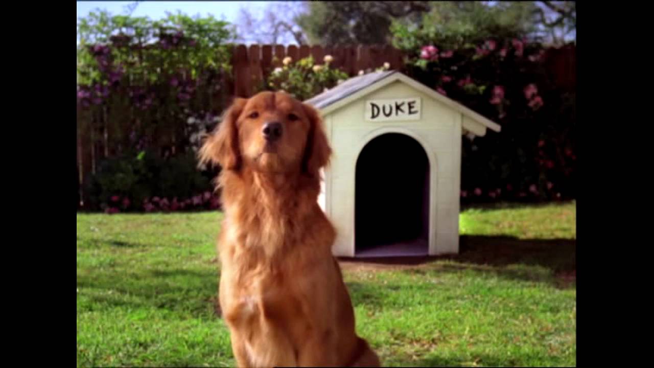 Bush's Baked Beans  3 Spots