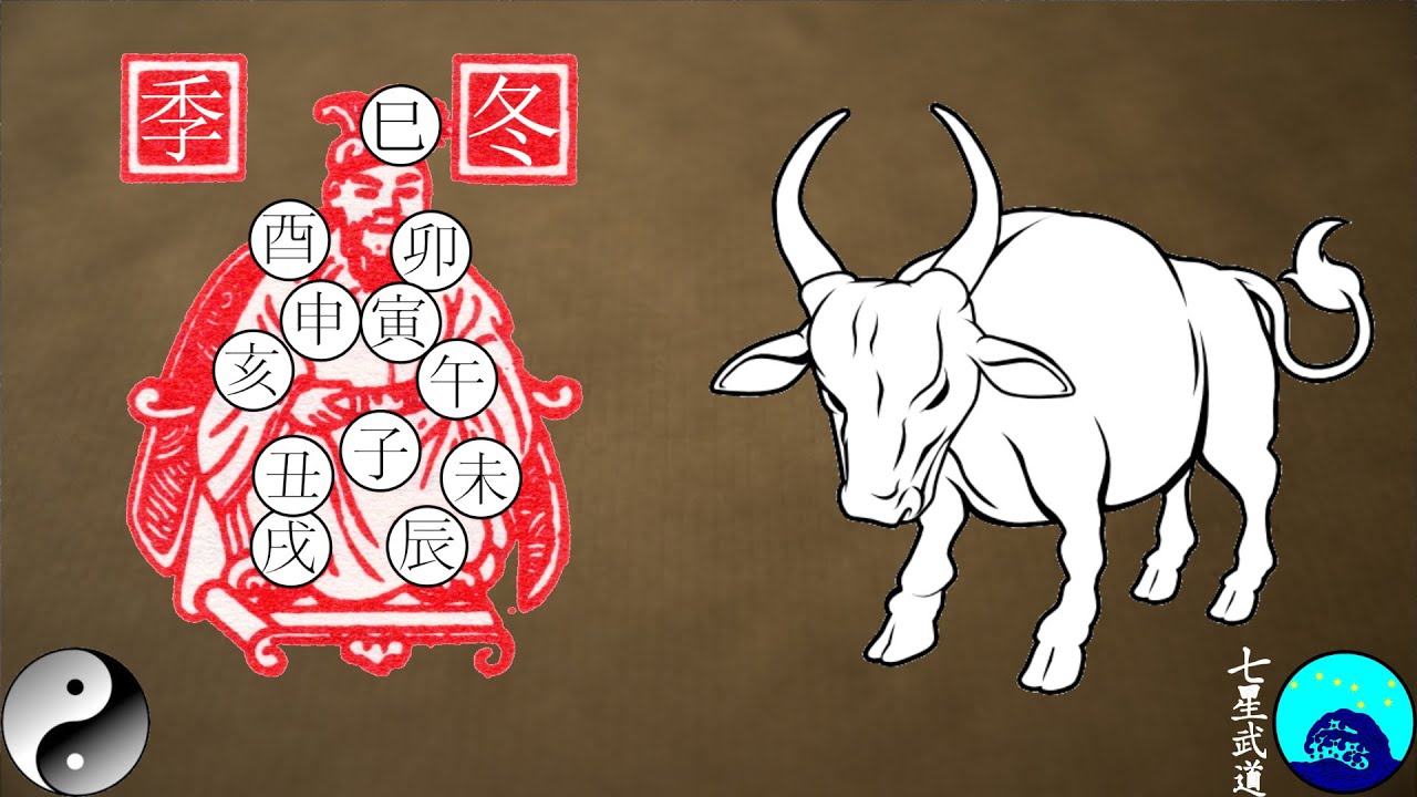 T’ai Chi Qigong Shibashi - 28th January 2026