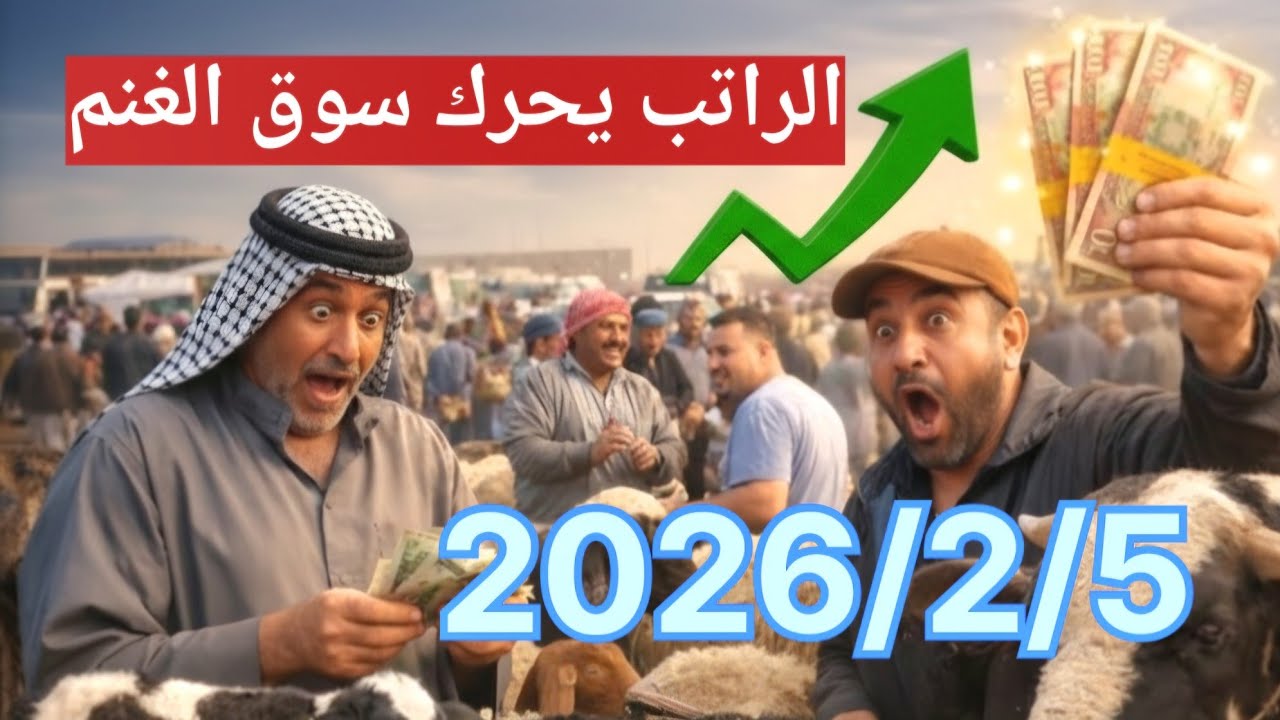 «أول ما تنزل الرواتب… يصير شي غريب بالسوق!المواشي تتحرك، الأسعار تتبدل، والطلب يكبر 