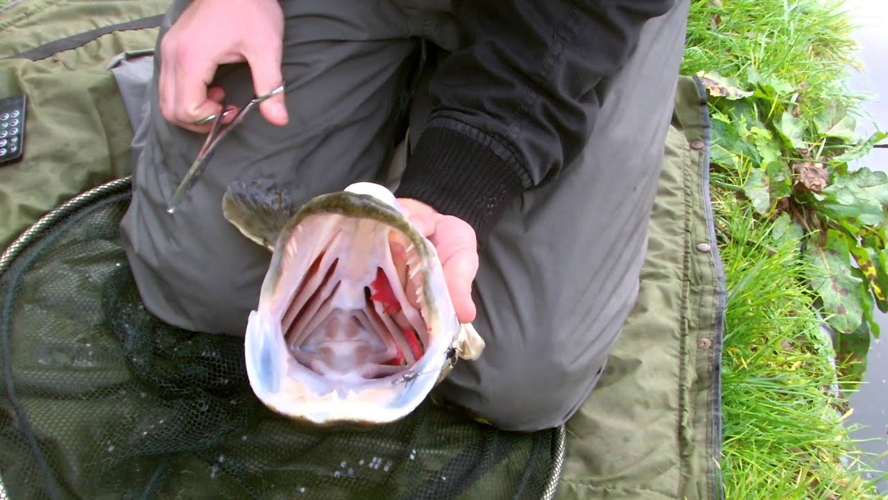 How to unhook a pike - chrisnsamfihsing