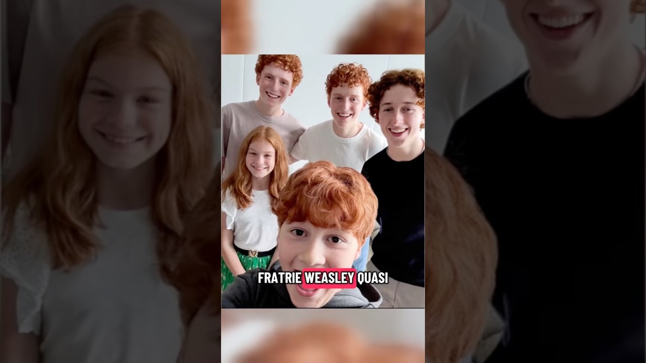 Série Harry Potter, les nouveaux Weasley : Ginny, Ron, Fred & George, Percy ! 