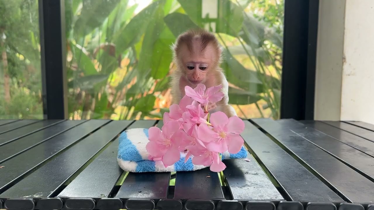 omg little girl with flower..................🤐🤐