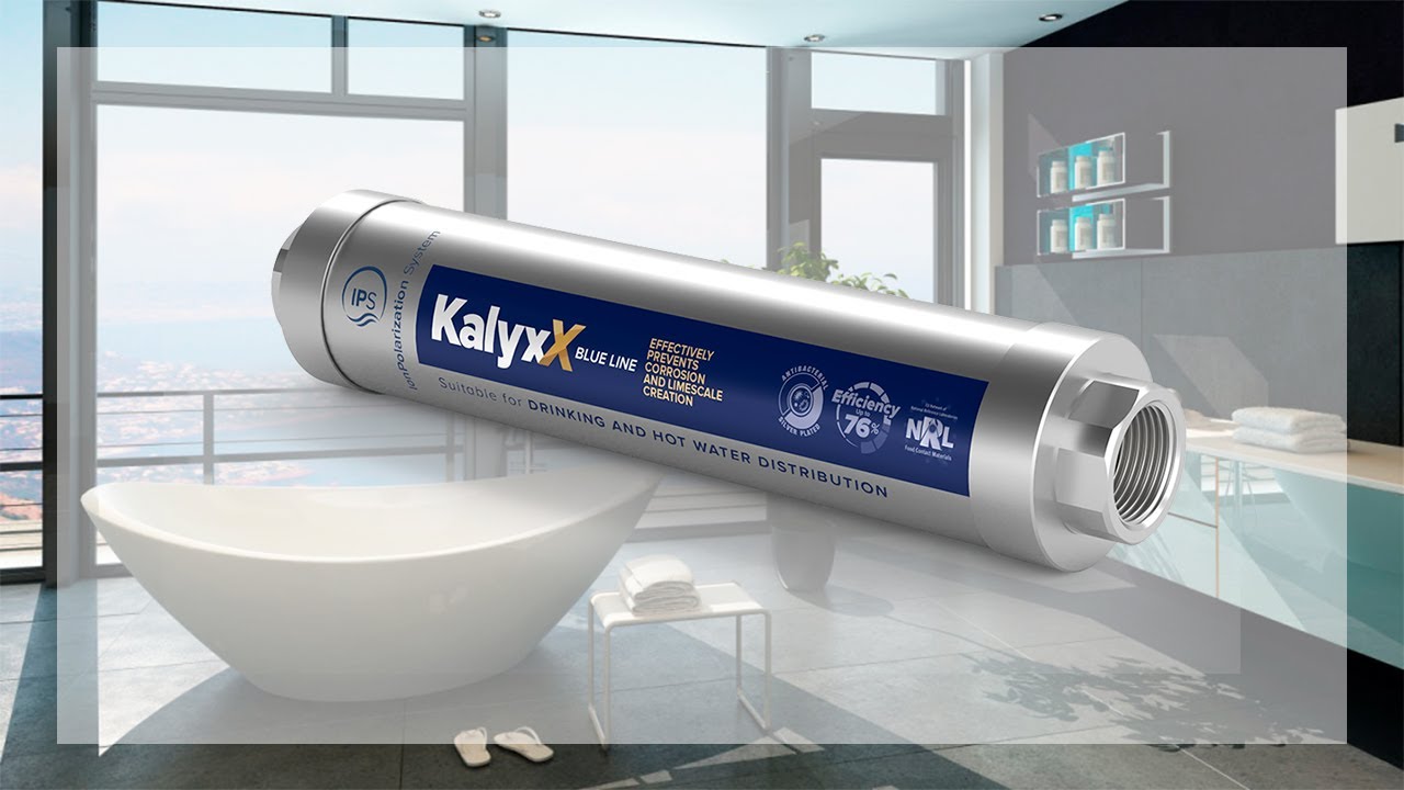 Eliminador de Sarro IPS Kalyxx