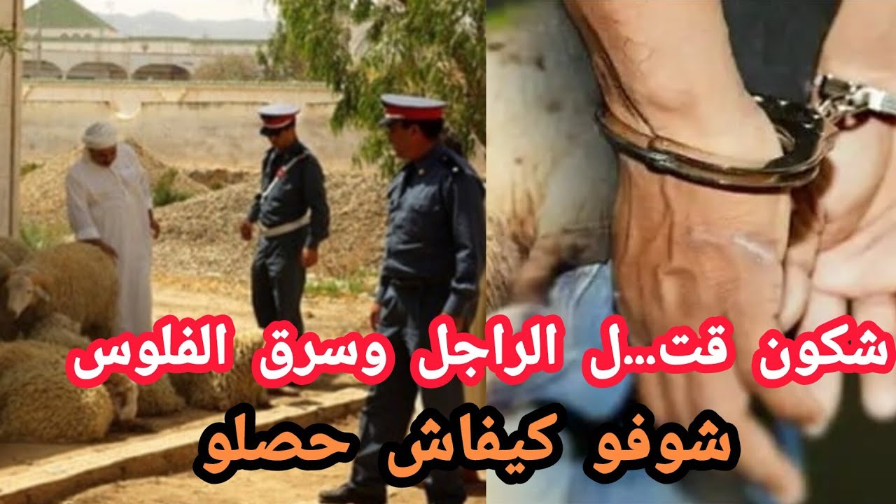 شكون قت...ل الراجل وسرق الفلوس 😱
