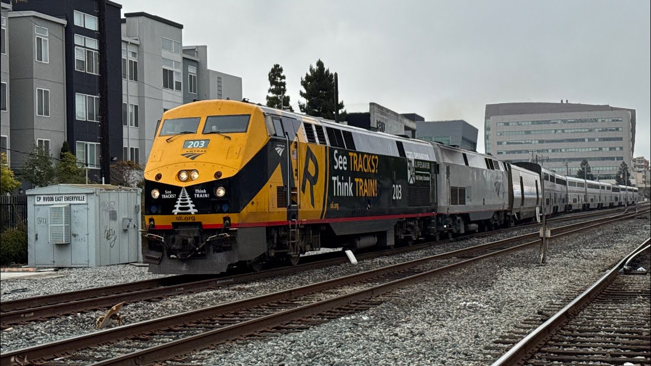 Railfanning Emeryville ft. 'Operation Lifesaver' Amtrak P42DC #203!!