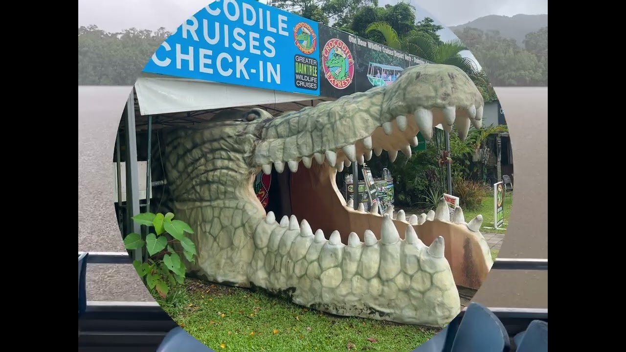 Daintree 