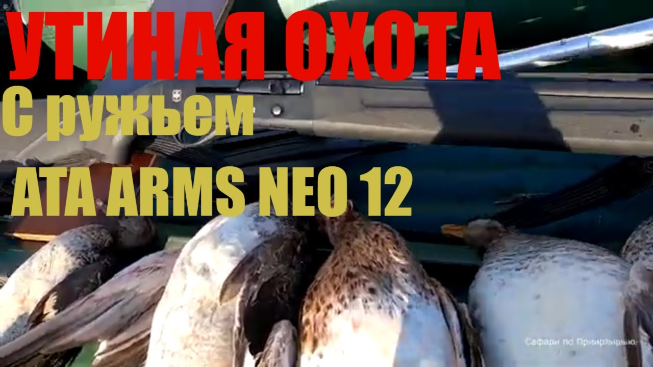 Утиная охота. Ждем  северную утку с ружьем АТА НЕО 12