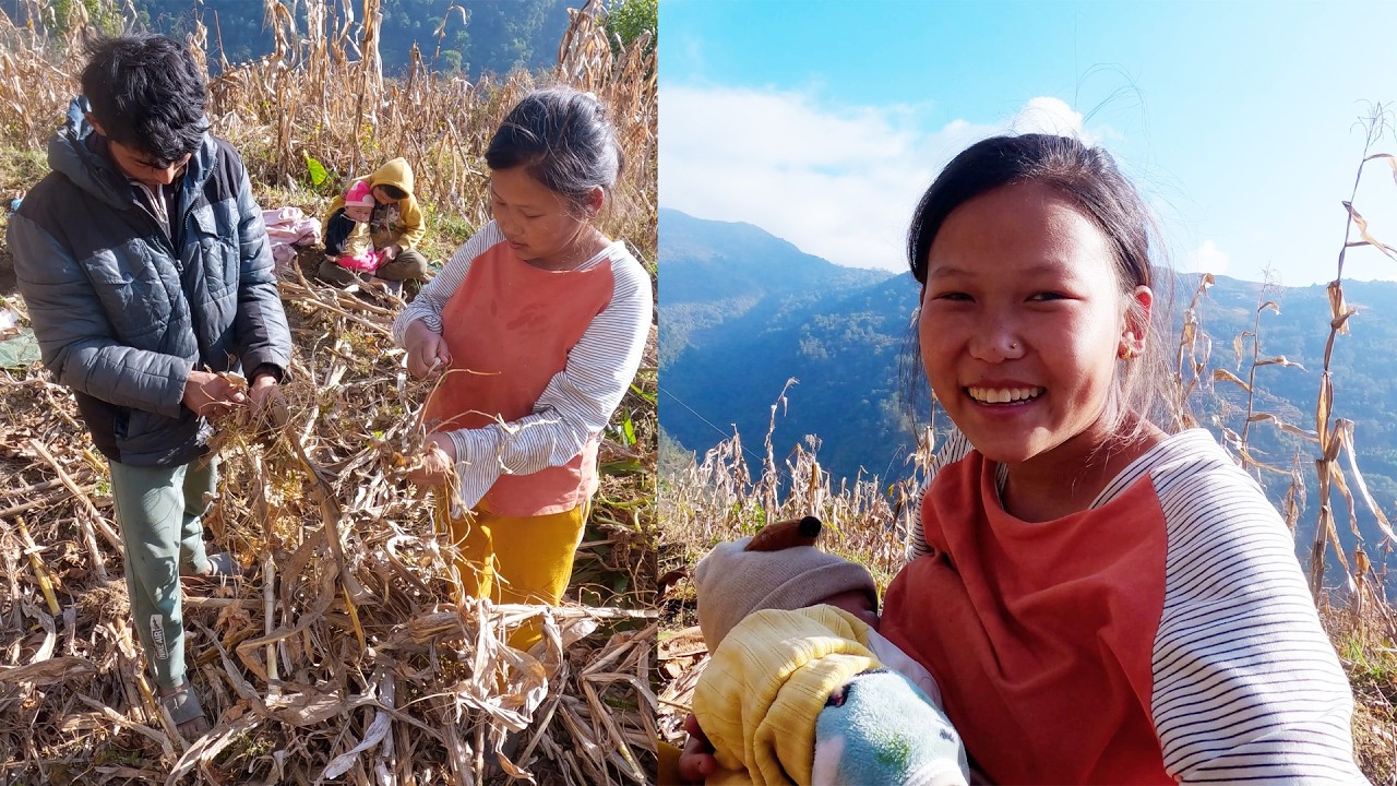 Adhiraj Anita working in farmland@Manjitamrnati