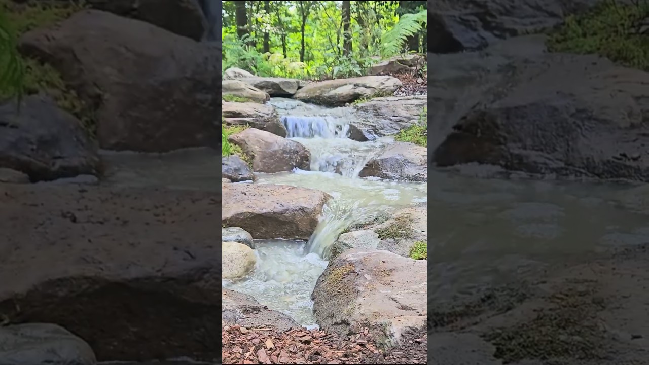 PONDLESS WATERFALL! #backyard #landscapebuild #diy #garden#waterfall #aquascape #timelapse