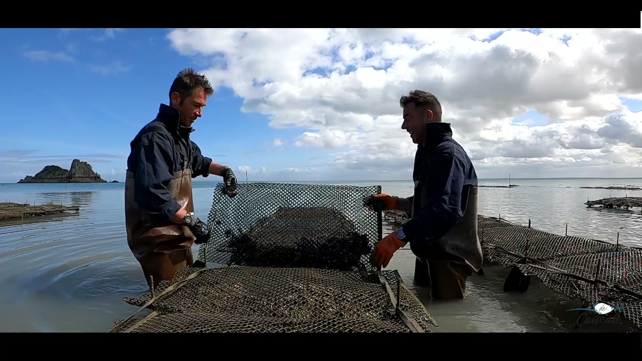 Fine de Cancale