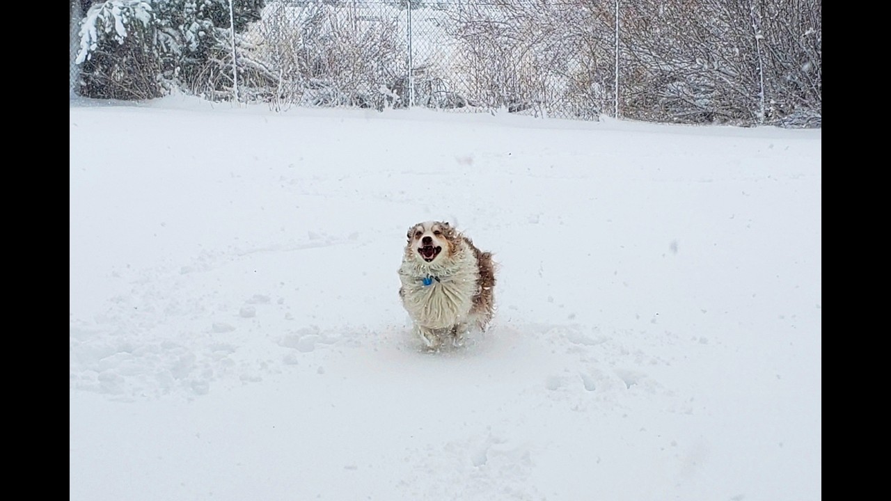 Winter in The Shire