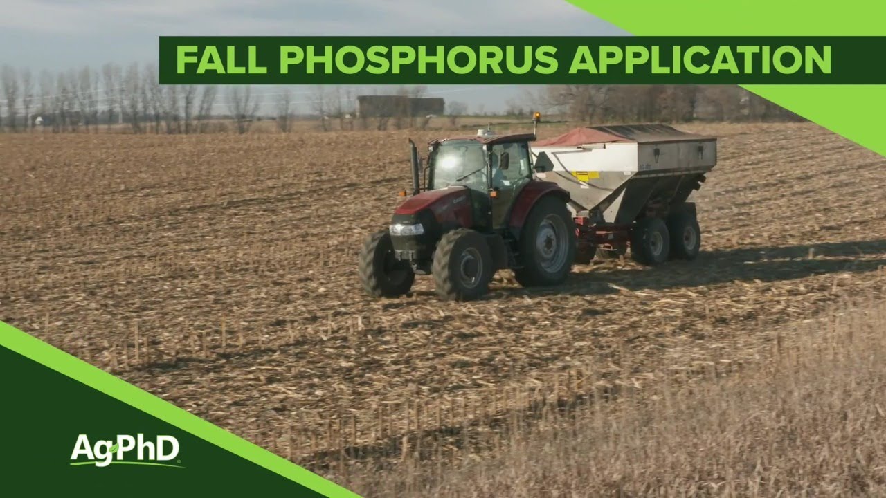 Fall Phosphorus Application (From Ag PhD Show #1124 - Air Date 10-20-19)