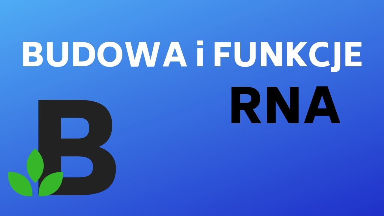 Budowa i funkcje RNA kwas rybonukleinowy - genetyka - KOREPETYCJE z BIOLOGII - 210
