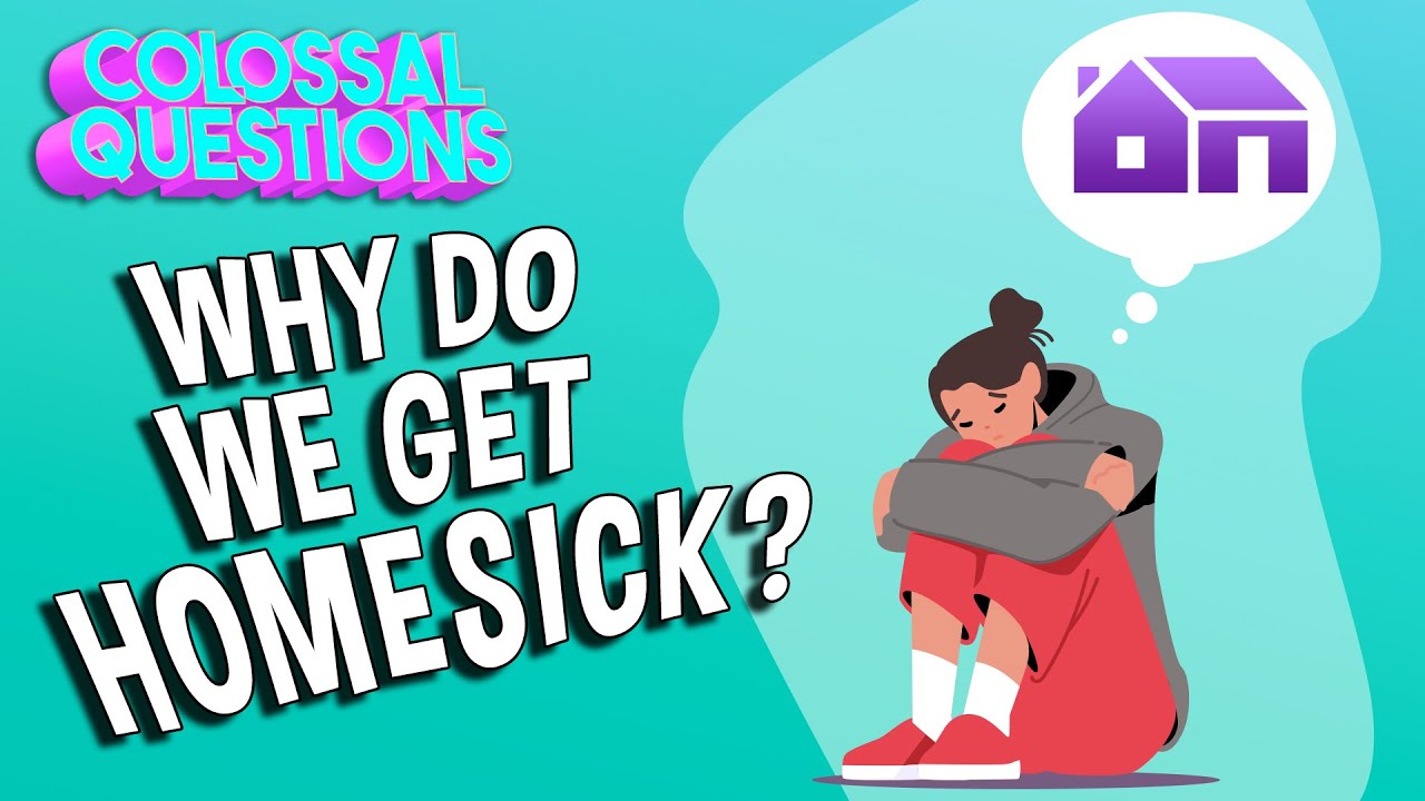 Why Do We Get Homesick? | COLOSSAL QUESTIONS