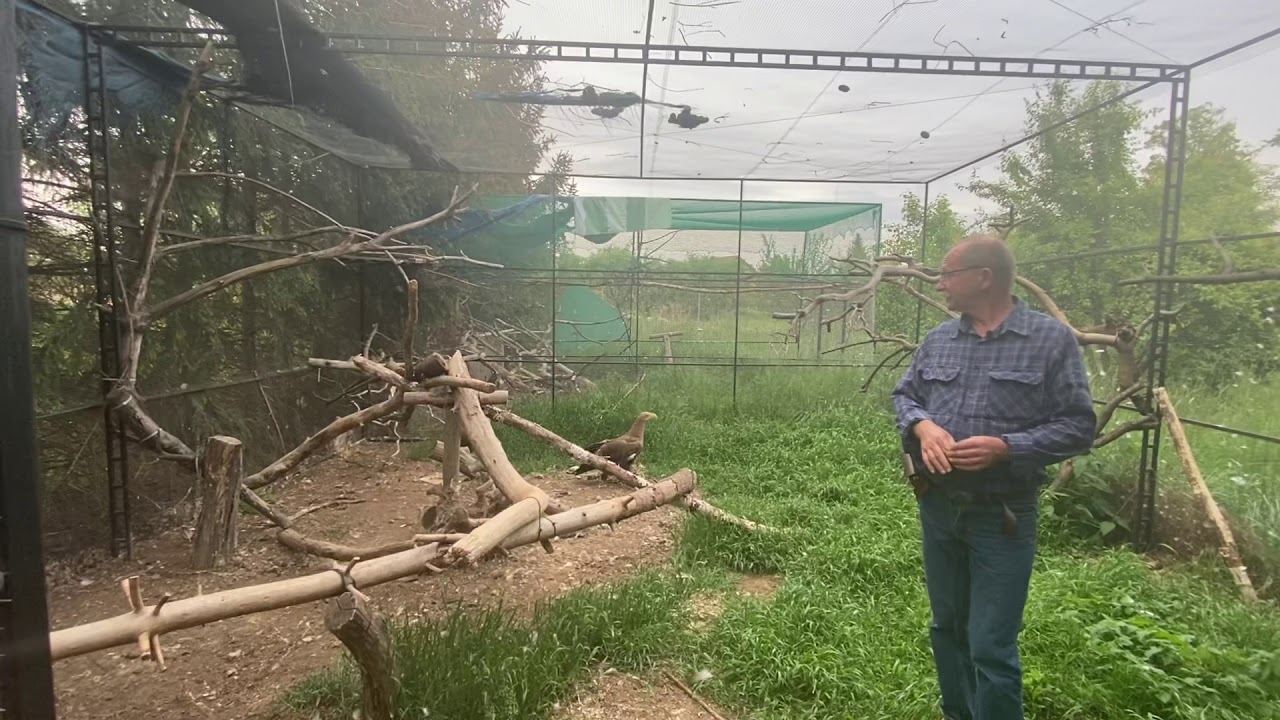 TOZ Jawor z wizytą w ośrodku rehabilitacji dzikich zwierząt w Raczkowej