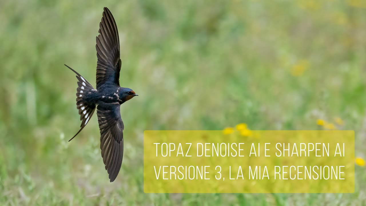 Topaz Denoise AI e Sharpen AI versione 3, la mia recensione