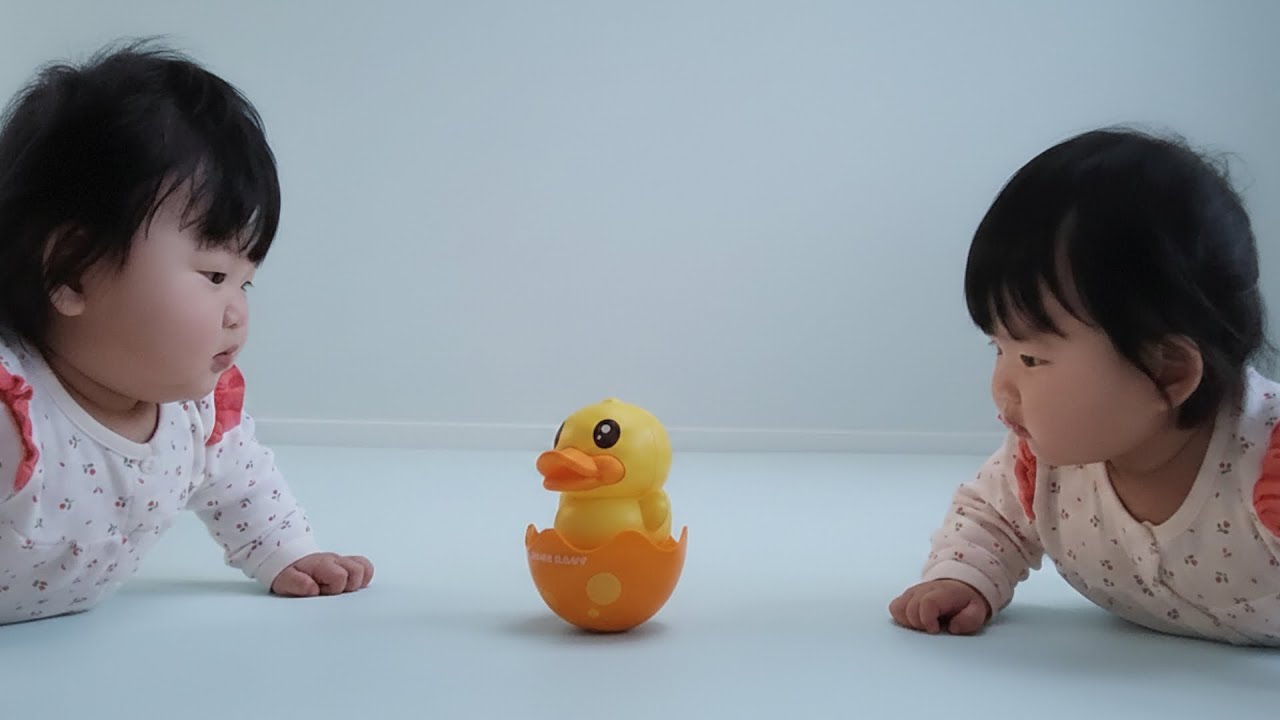 오리🪆 | 170일 일란성 쌍둥이