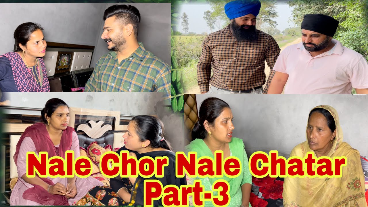 Nale Chor Nale Chatar, Part-3, ਨਾਲੇ ਚੋਰ ਨਾਲੇ ਚਤਰ, ਭਾਗ -3