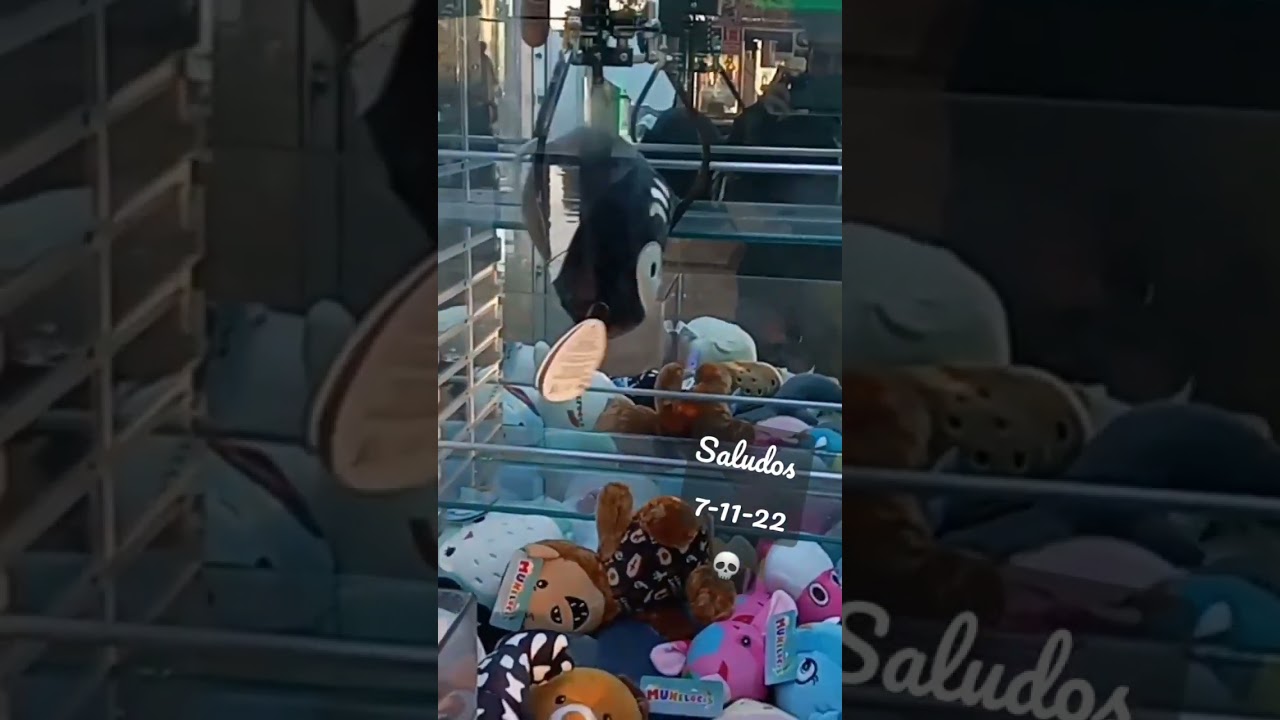 Cazando Mu&ntilde;elocos excelente inicio de semana y ganando a la primera 🥇
