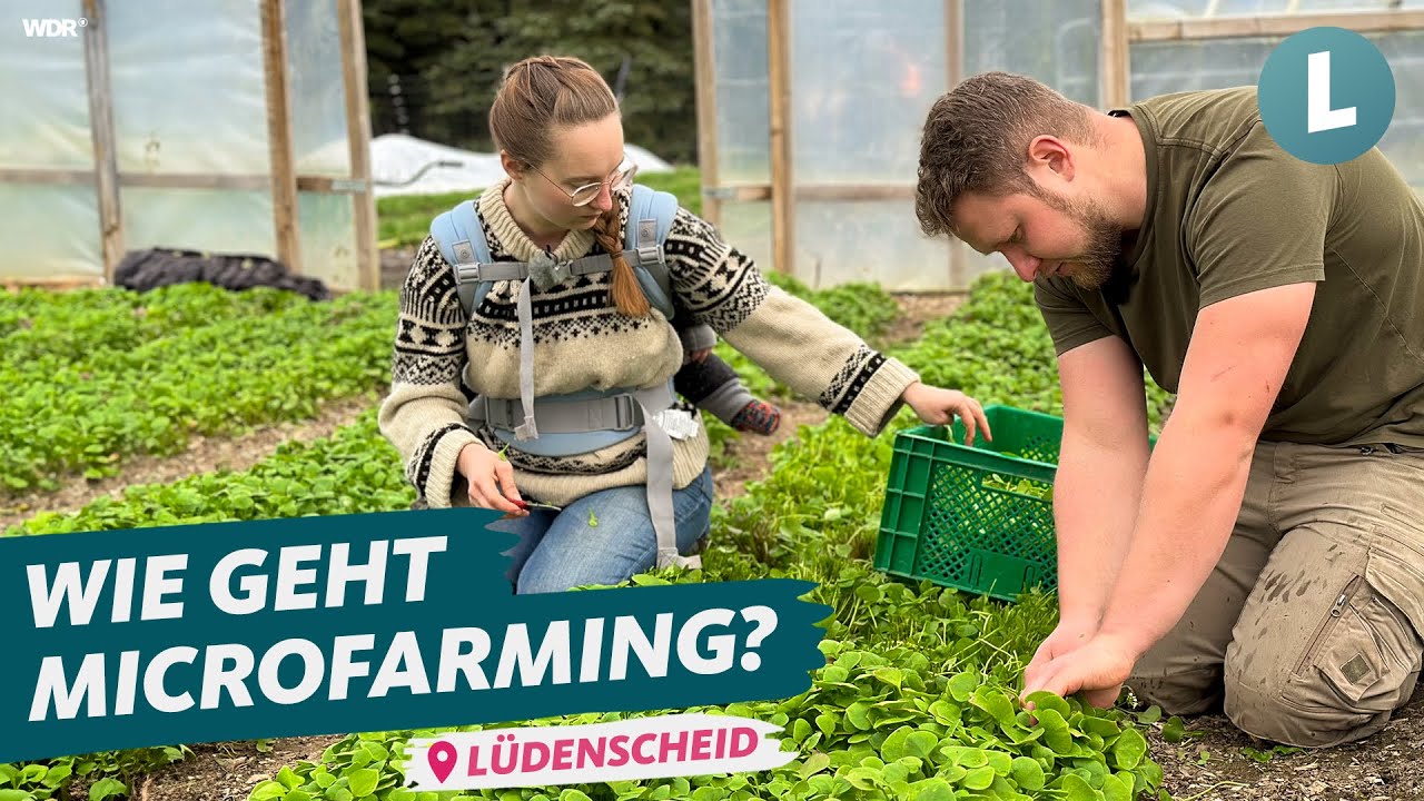 Microfarming: Landwirtschaft auf kleinster Fläche | WDR Lokalzeit Land.Schafft.
