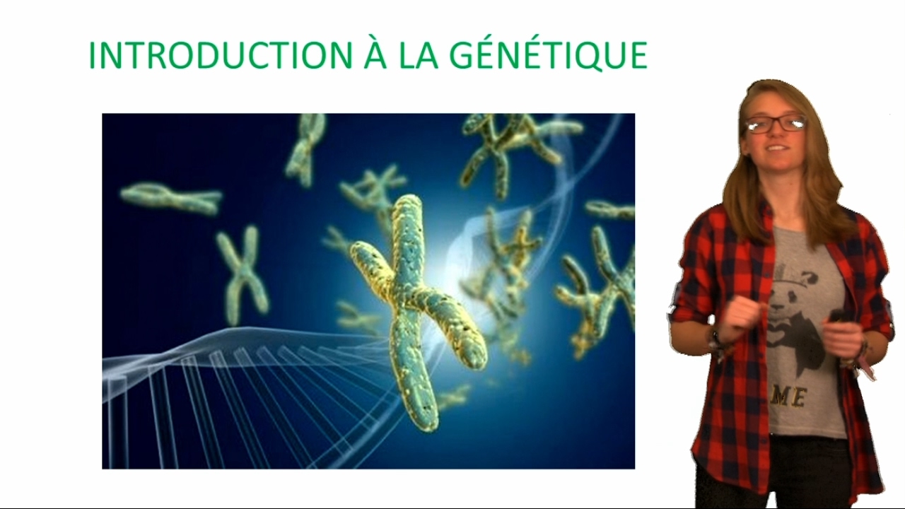 Introduction à la génétique