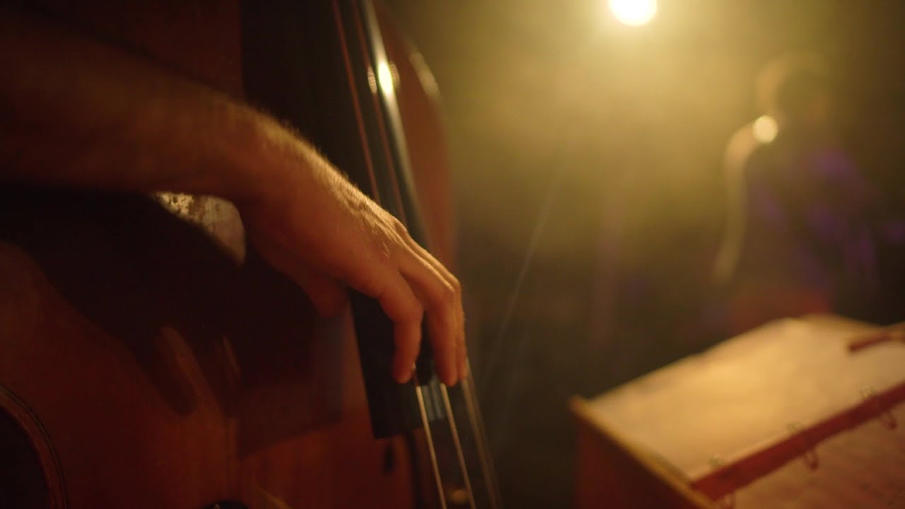 Le Bal Tropical | Film Annonce
