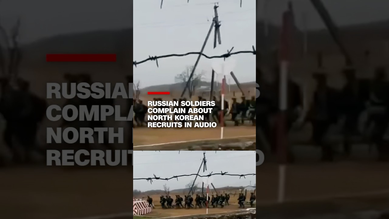 Russian soldiers complain about North Korean recruits in audio