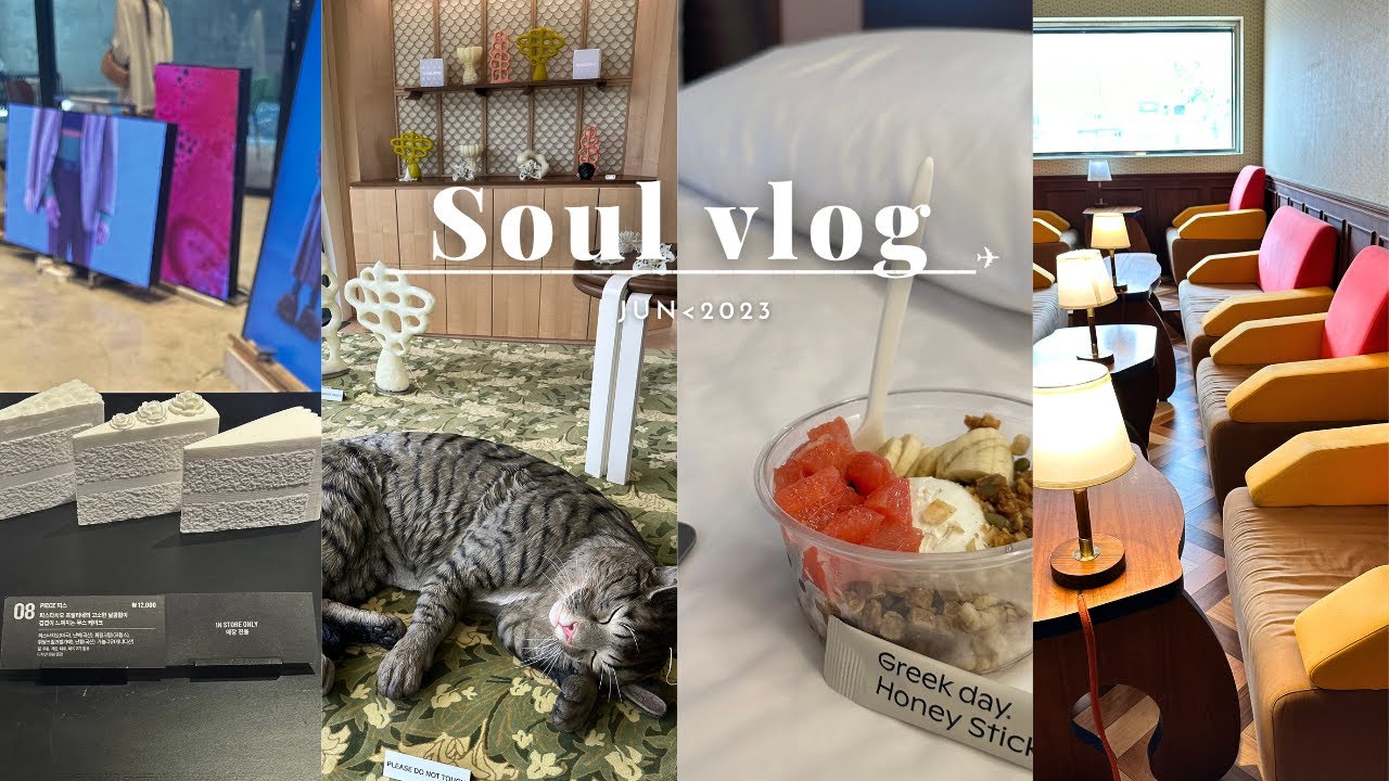 [vlog]2023韓国vlog/6月/狎鴎亭/ソンス/5泊6日/ほぼ1人旅