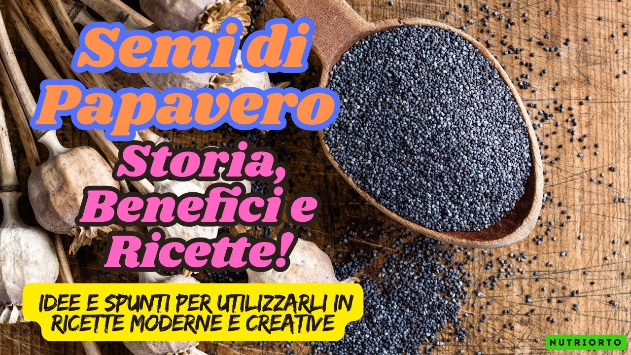 Semi di Papavero Storia, Benefici e Ricette!  #SemidiPapavero #CucinaItaliana #BeneficiNutrizionali