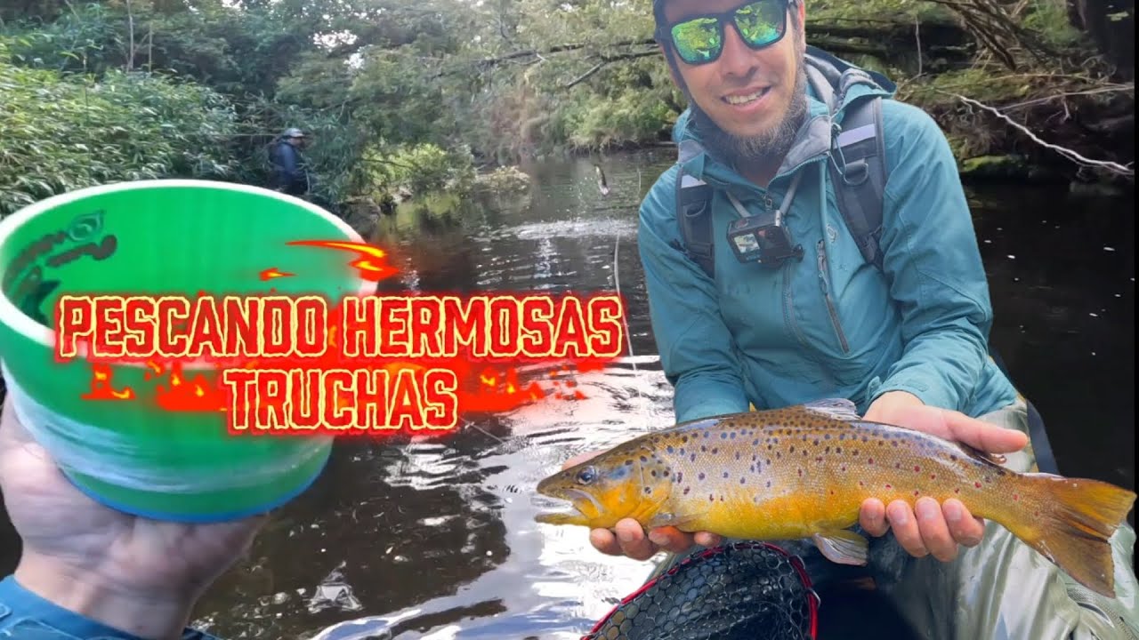 UN TRAMO DEL RIO NOS CAMBIO LA SUERTE Y CAPTURAMOS LINDAS TRUCHAS FARIOS JUNTO A @maritofishing🇨🇱🐟