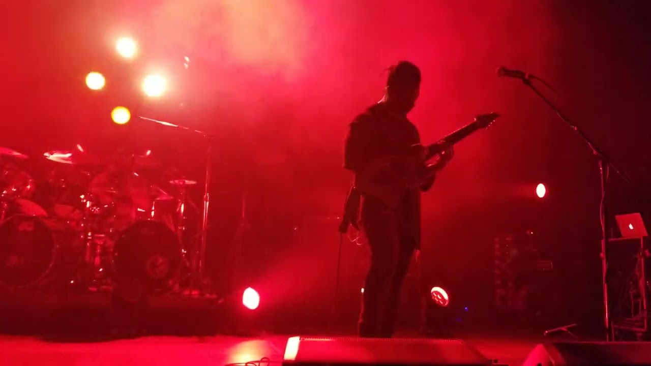Animals As Leaders - 
