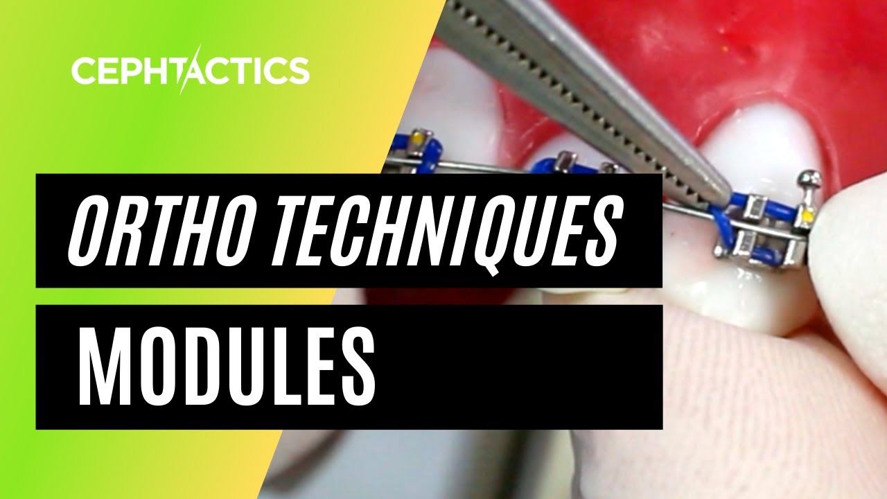 Modules/Elastomers in Orthodontics