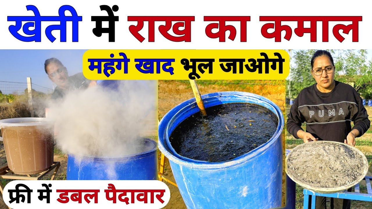 खेती में राख का चमत्कार देखकर 🤗 मंहगे खाद डालना भूल जाओगे | kheti me rakh ka upyog | Wood Ash uses