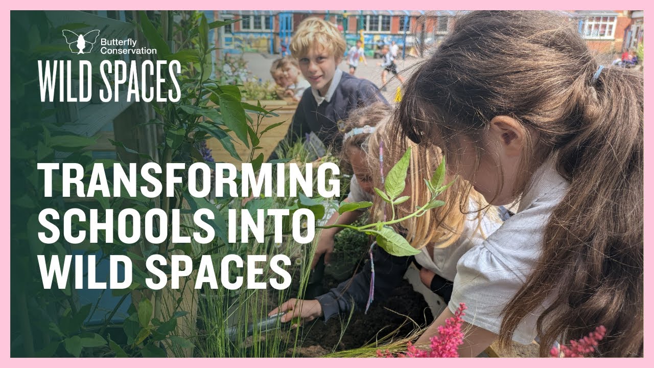 Transforming schools across Bristol and Weston into Wild Spaces