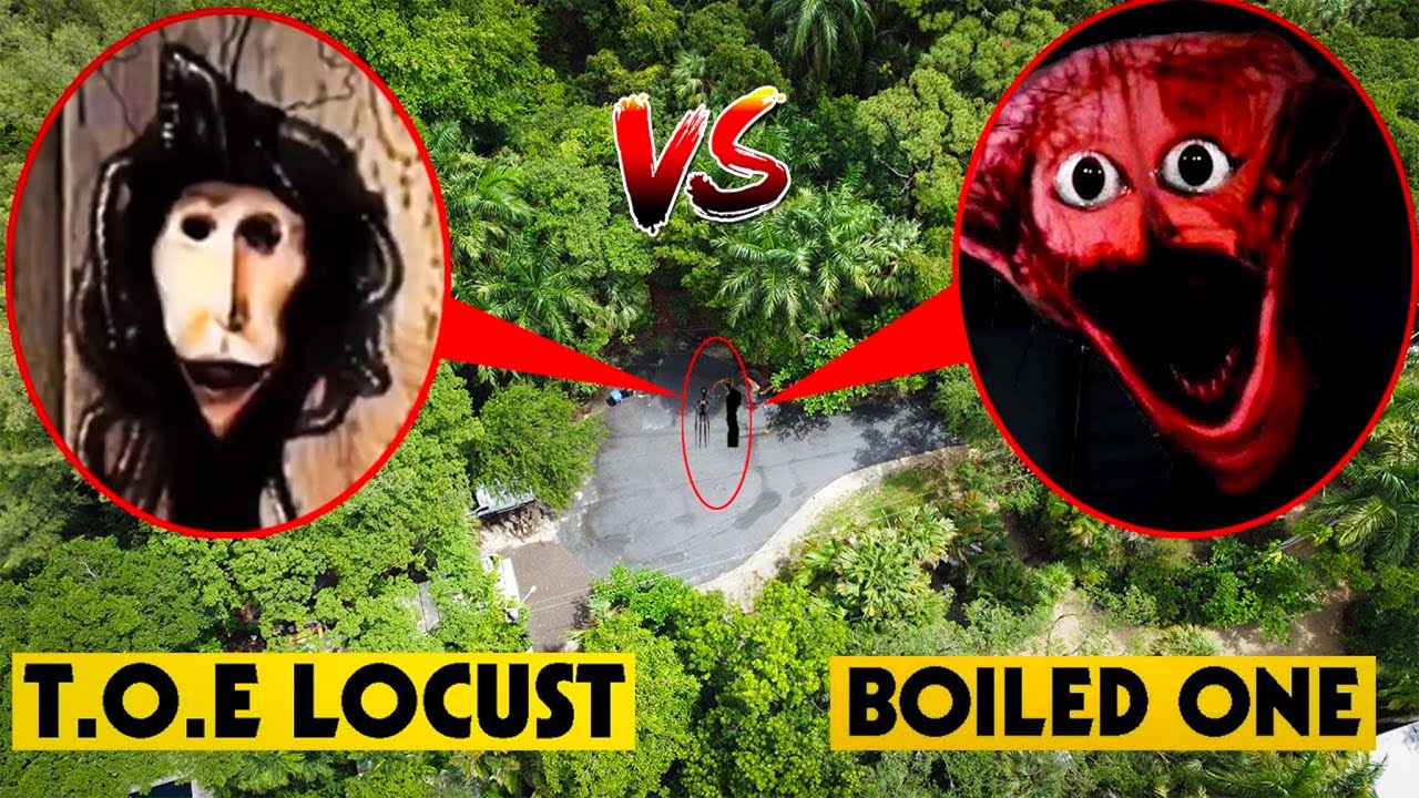 DRONE CATCHES THE BOILED ONE VS THE LOCUST FIGHT IN REAL LIFE (OMG)