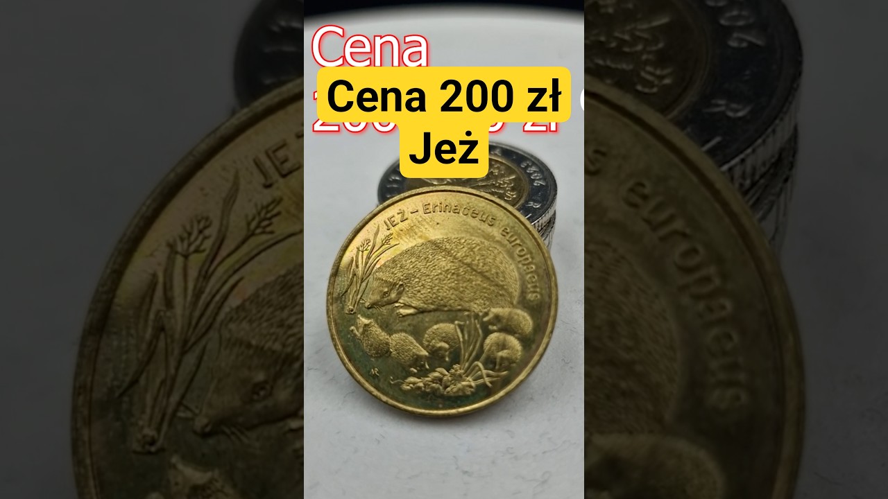2 złote Jeż 1996, cena 200 do 300 złotych #Monety #Moneta #numizmatyka