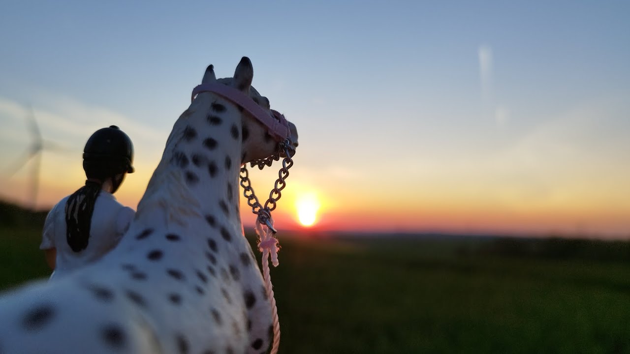 Shooting photo Schleich ! 📸🐎