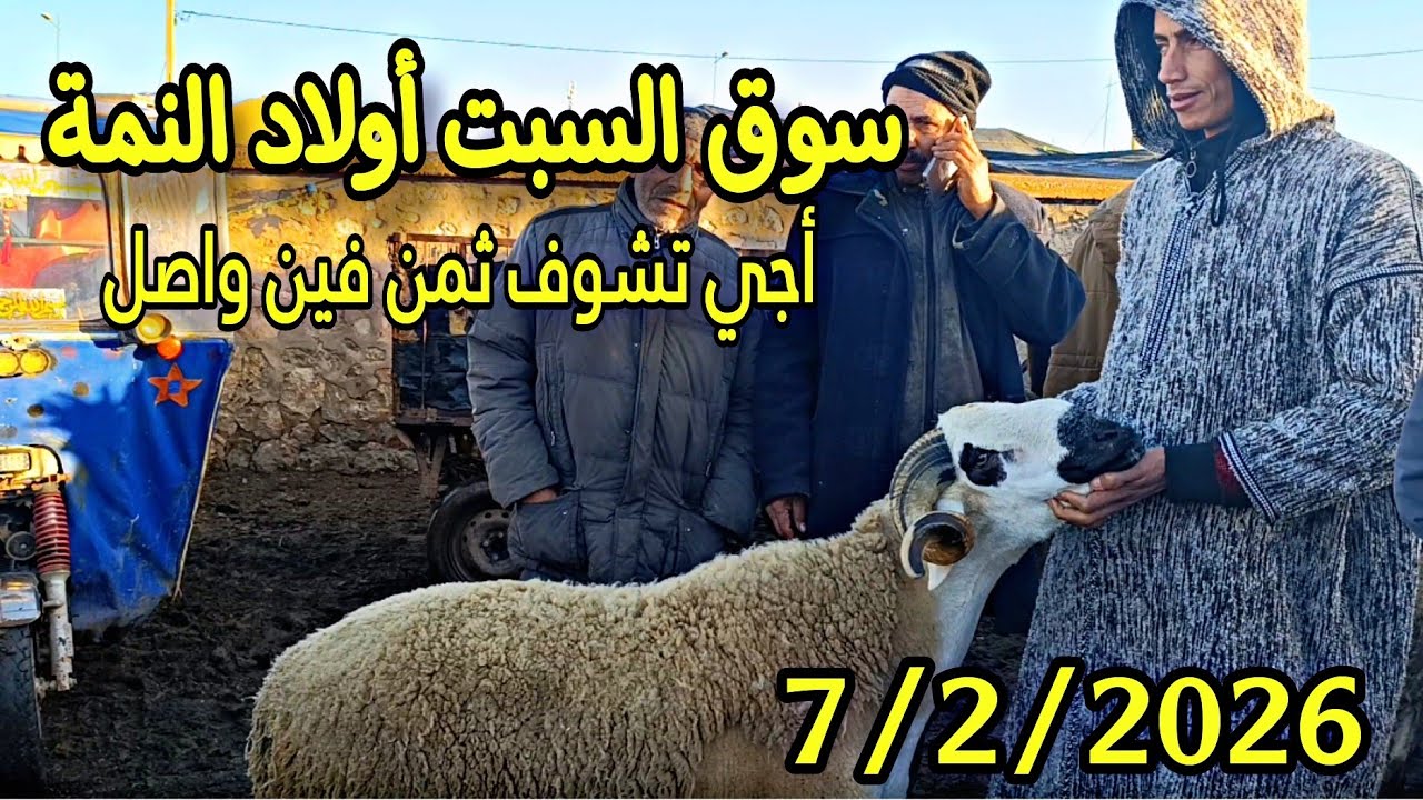 مباشرة من سوق السبت أولاد النمة الخروف الكسابي والحولي والحولية والنعجة تاريخ 7/2/2026 فرجة ممتعة 🐑🐑