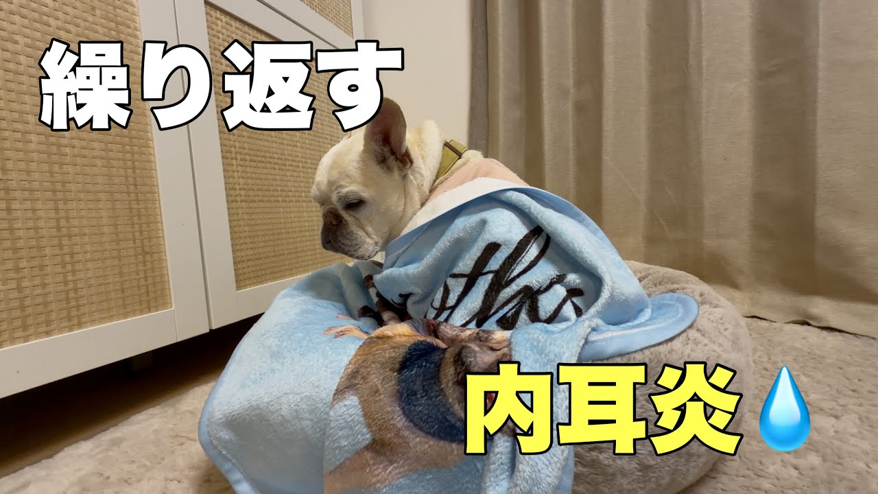 まだ治っていなかった💦舐めたらあかん内耳炎！