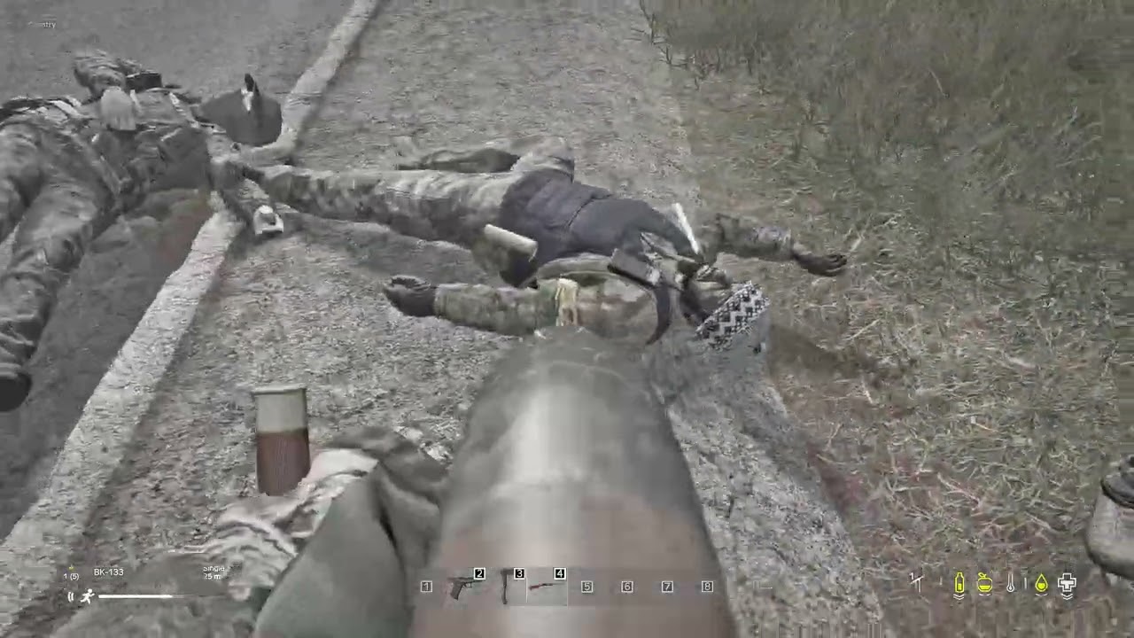 DayZ i literally just hopped on and this happened